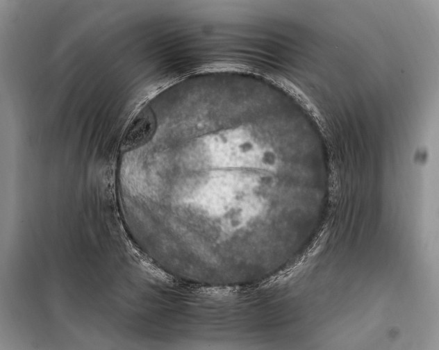 X0000100230937200806131333