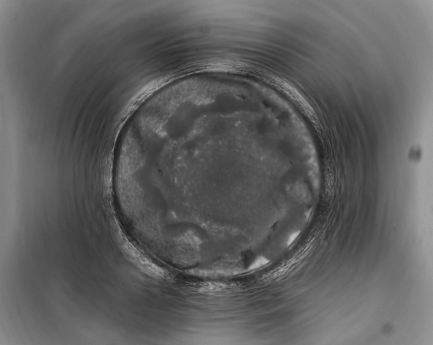 X0000100230938200806131333