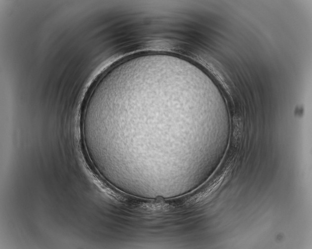 X0000100230939200806131333