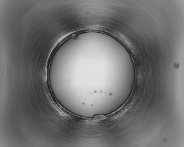 X0000100230940200806131333