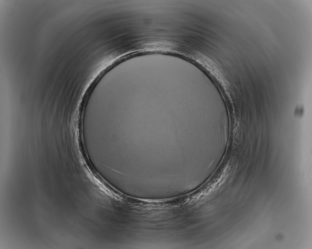 X0000100230941200806131333