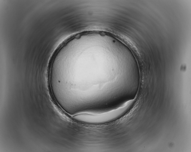 X0000100230942200806131333