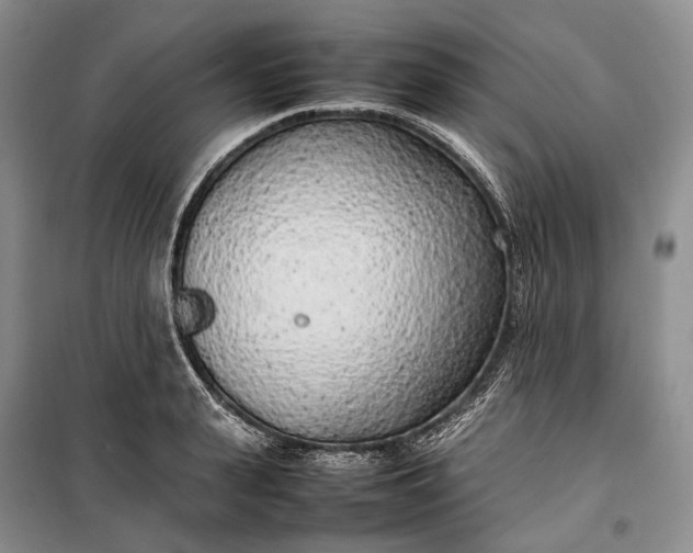 X0000100230943200806131333