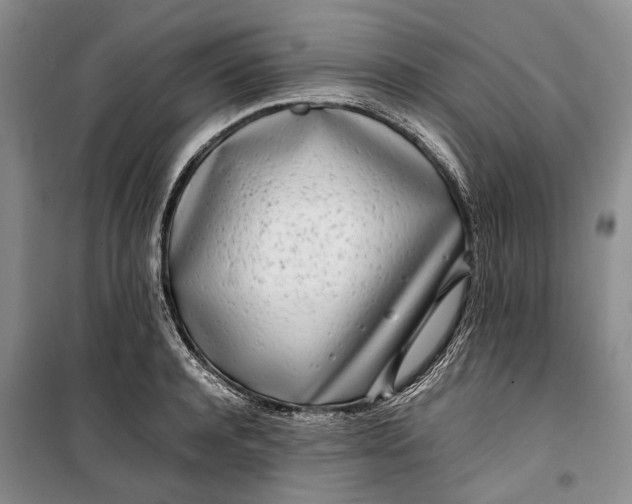 X0000100230944200806131333