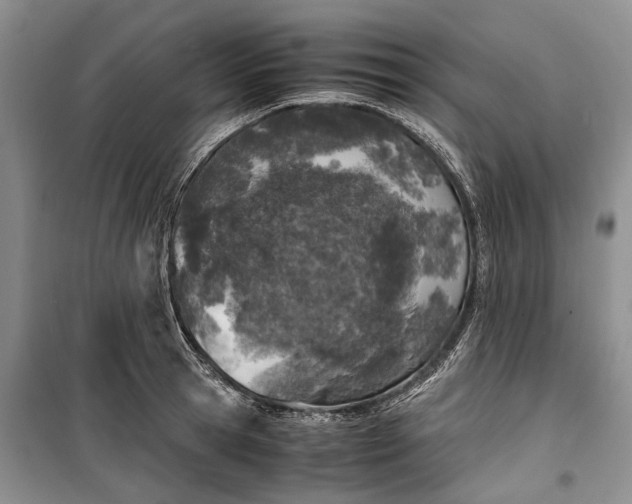 X0000100230945200806131333