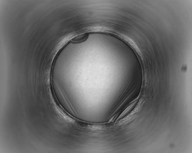 X0000100230946200806131333