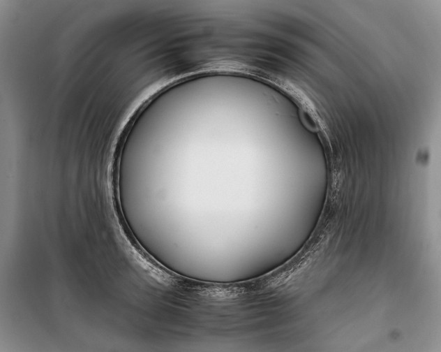 X0000100230947200806131333