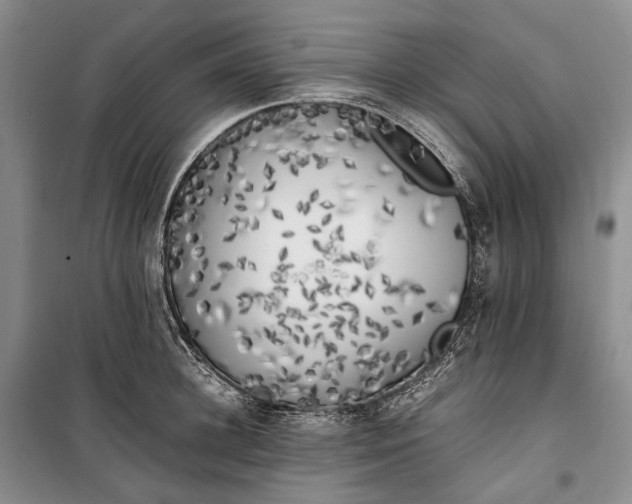 X0000100230948200806131333