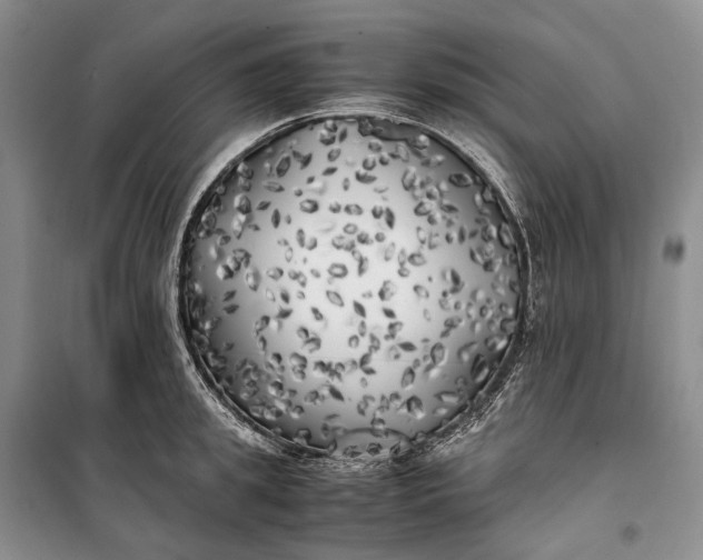 X0000100230949200806131333