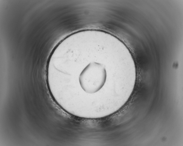 X0000100230950200806131333