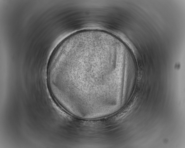 X0000100230951200806131333