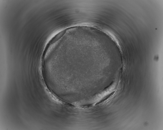 X0000100230952200806131333