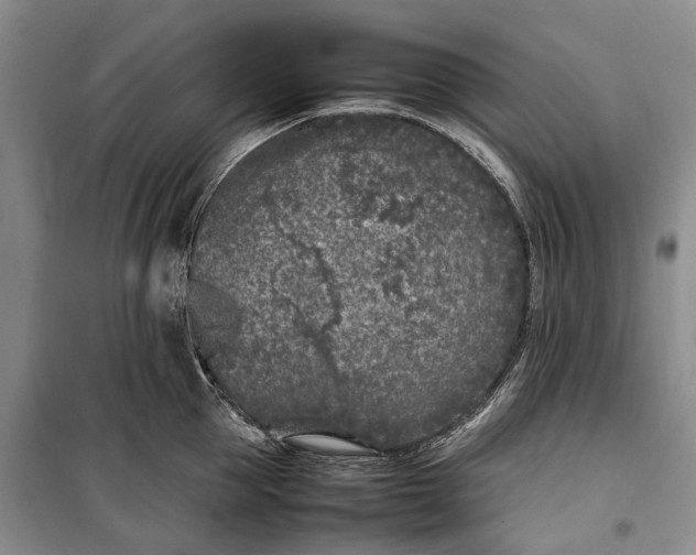 X0000100230953200806131333