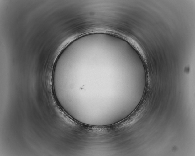 X0000100230954200806131333