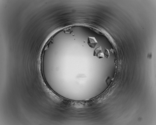 X0000100230955200806131333