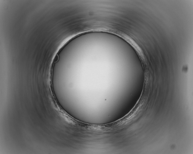 X0000100230956200806131333