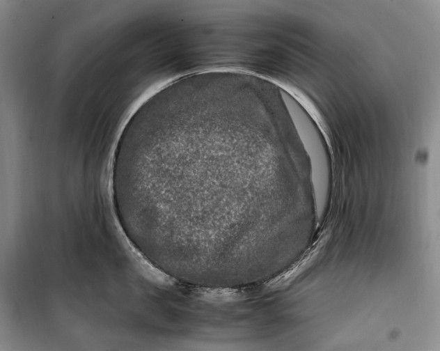 X0000100230957200806131333