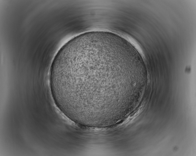 X0000100230958200806131333