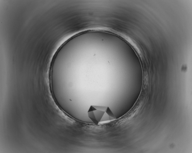 X0000100230959200806131333