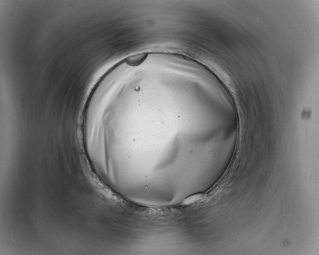 X0000100230960200806131333