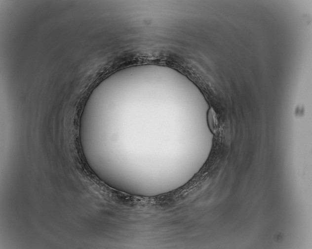 X0000100230961200806131333