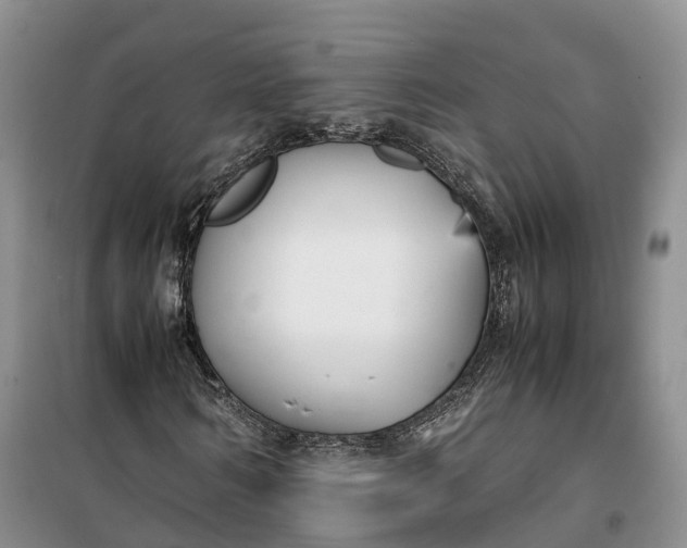 X0000100230962200806131333