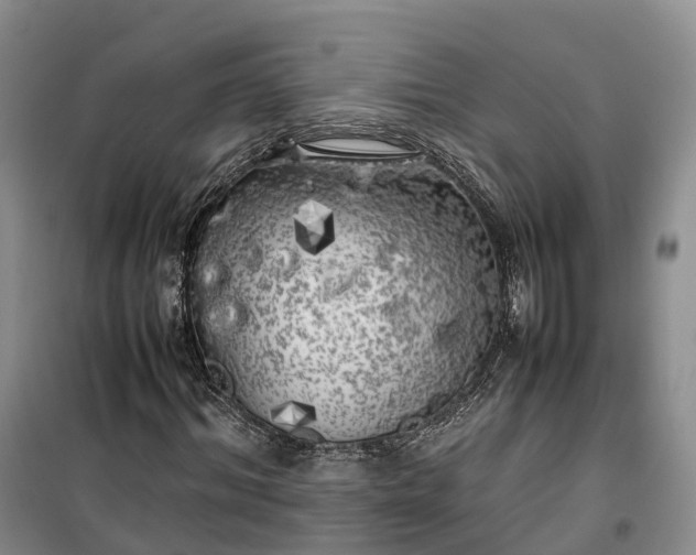 X0000100230964200806131333