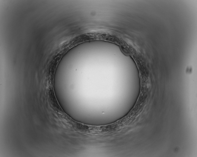 X0000100230965200806131333