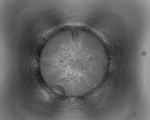 X0000100230966200806131332