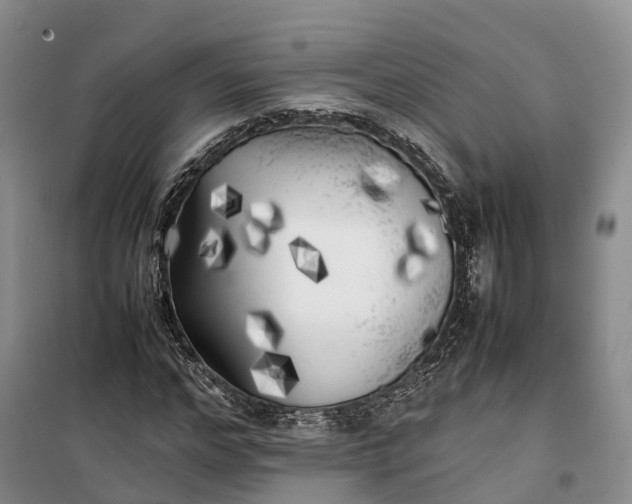 X0000100230968200806131332