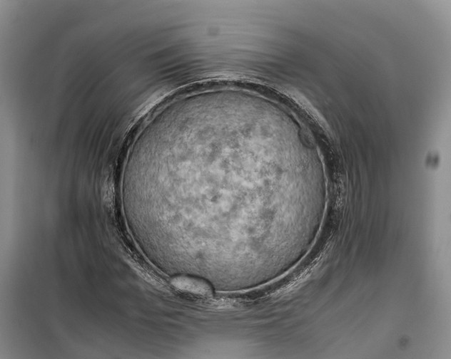 X0000100230969200806131332