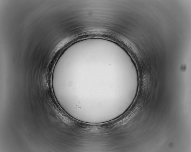 X0000100230970200806131332