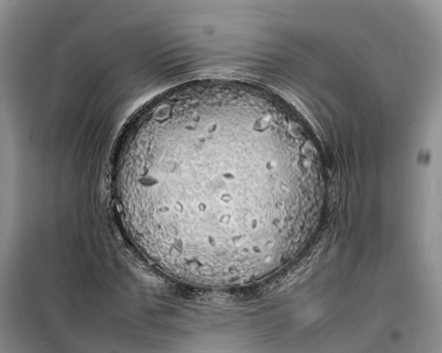 X0000100230971200806131332