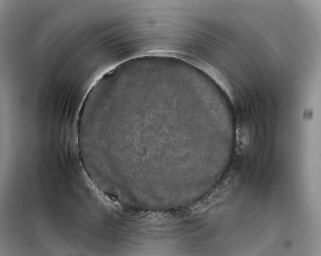 X0000100230972200806131332