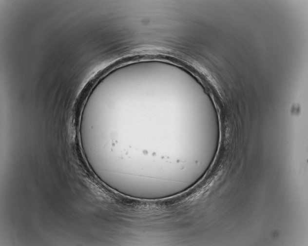 X0000100230973200806131332