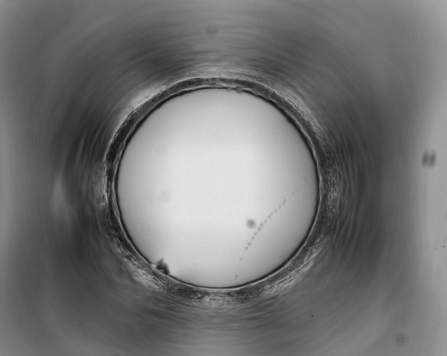 X0000100230974200806131332