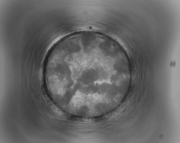 X0000100230975200806131332