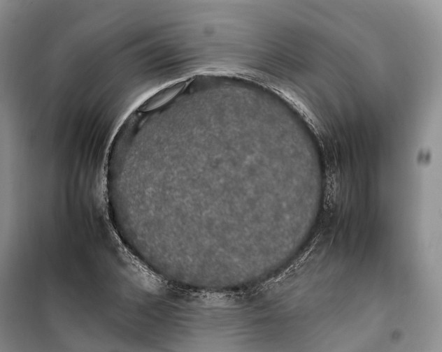 X0000100230976200806131332