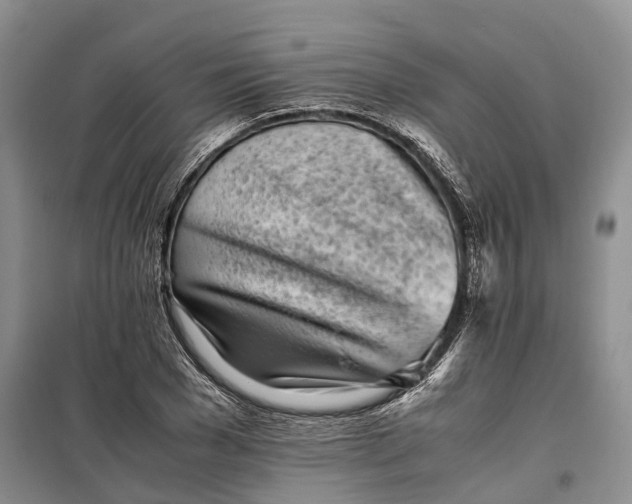 X0000100230977200806131332