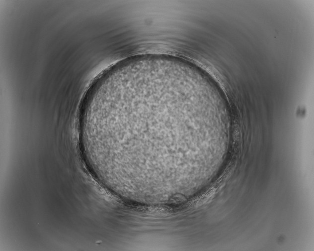 X0000100230979200806131332