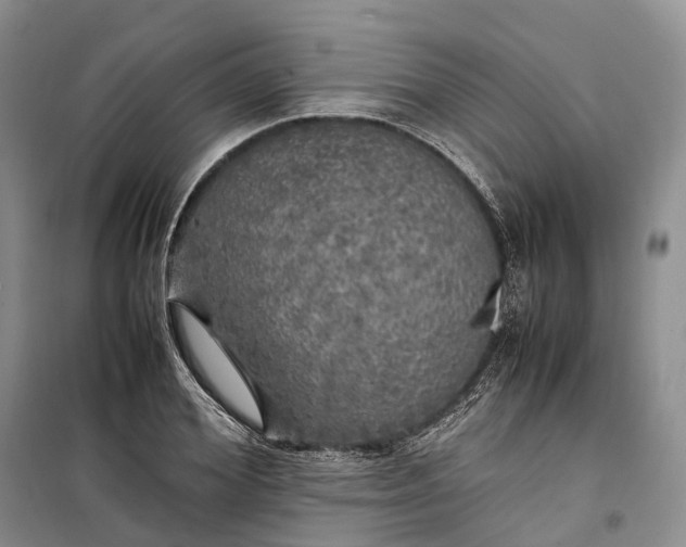 X0000100230980200806131332