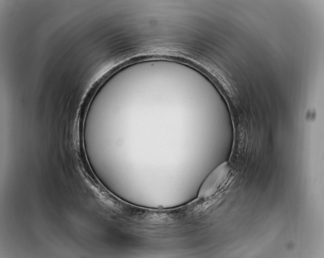 X0000100230982200806131332