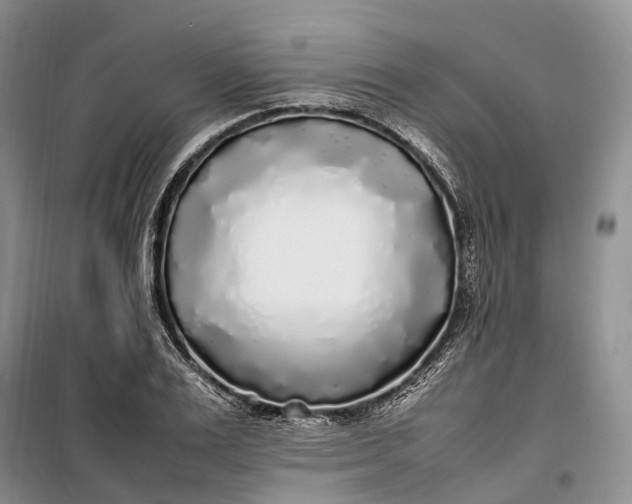 X0000100230983200806131332