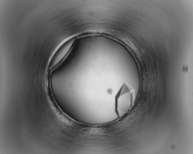 X0000100230984200806131332