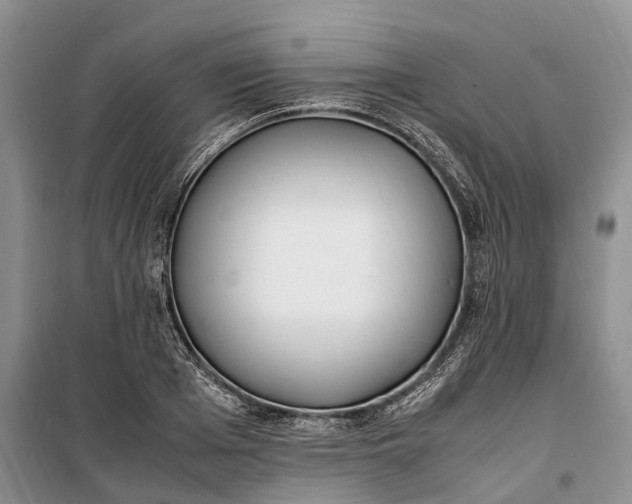 X0000100230985200806131332