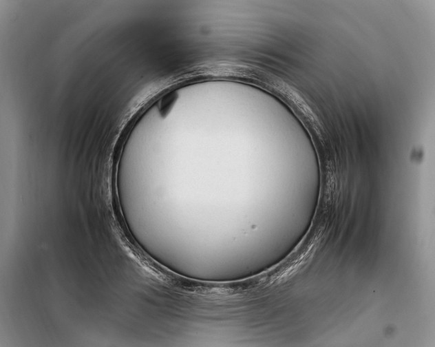 X0000100230986200806131332