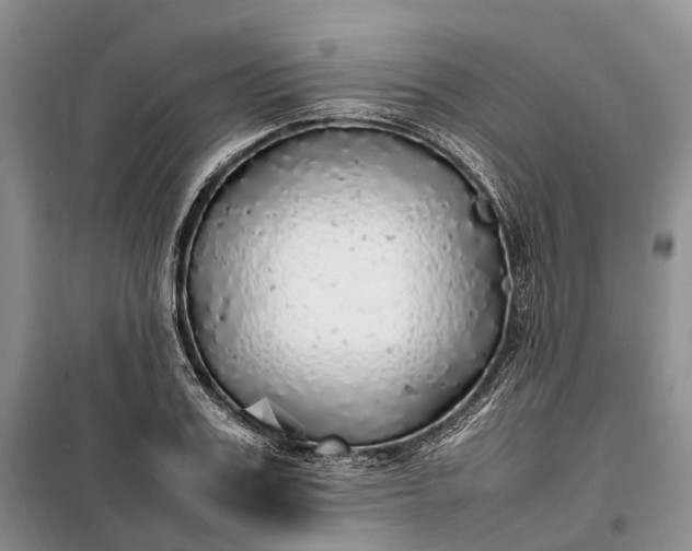 X0000100230987200806131332