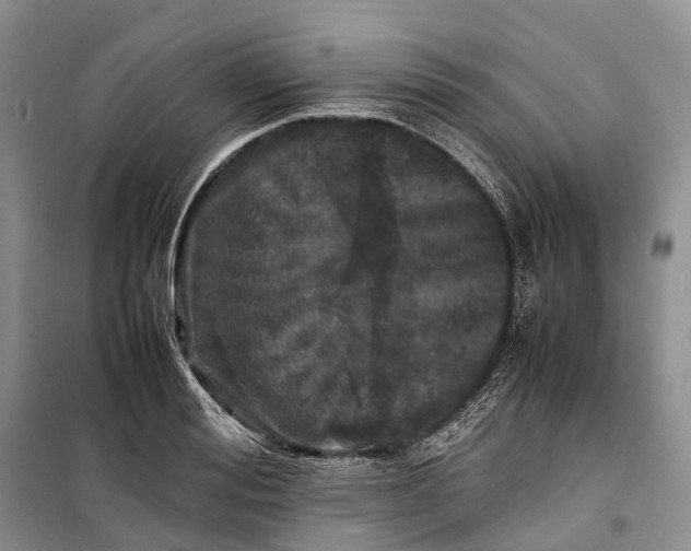 X0000100230988200806131332