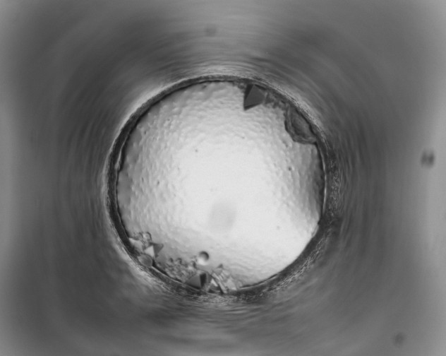 X0000100230991200806131332