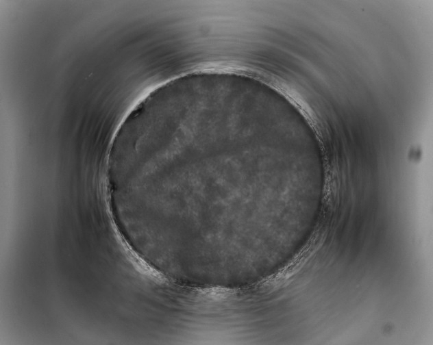 X0000100230992200806131332